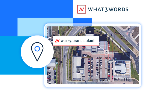 What 3 words